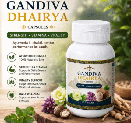 GANDIVA DHAIRYA CAPSULE